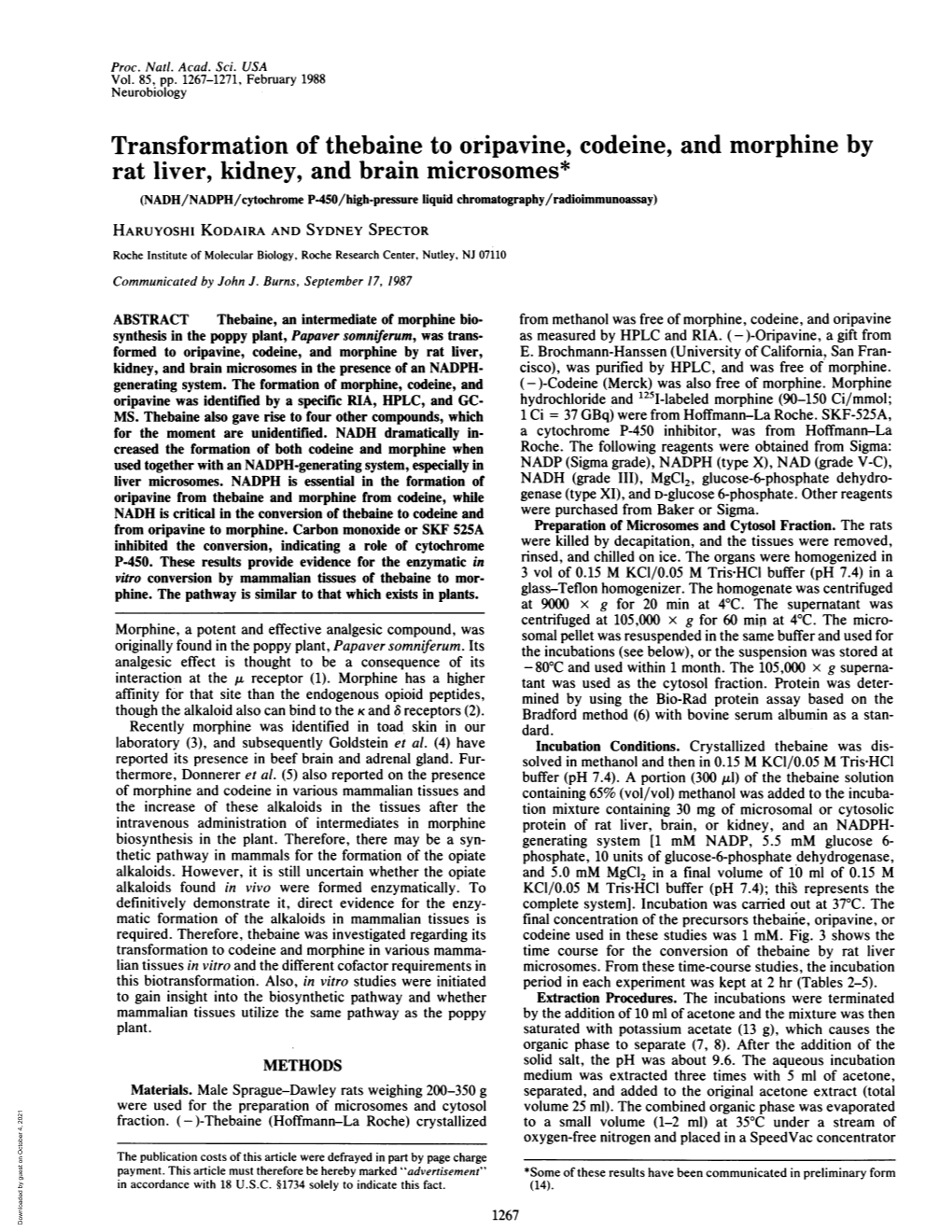 Transformation of Thebaine to Oripavine, Codeine, and Morphine By