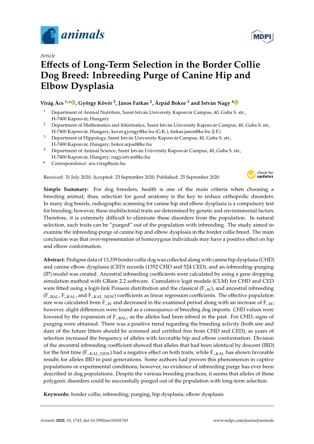 Effects of Long-Term Selection in the Border Collie Dog Breed