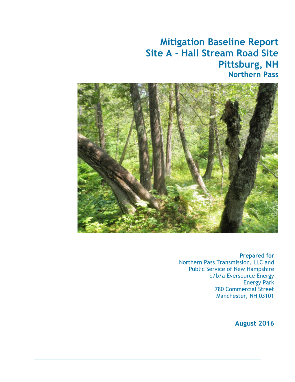 Hall Stream Road Baseline Report