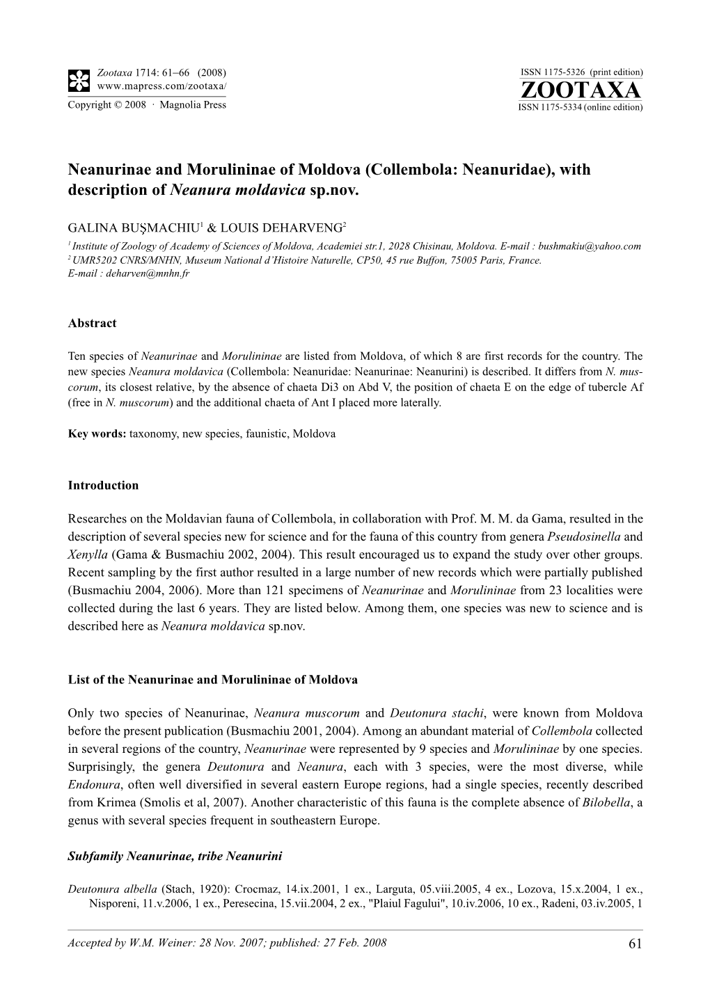 Zootaxa, Neanurinae and Morulininae of Moldova (Collembola