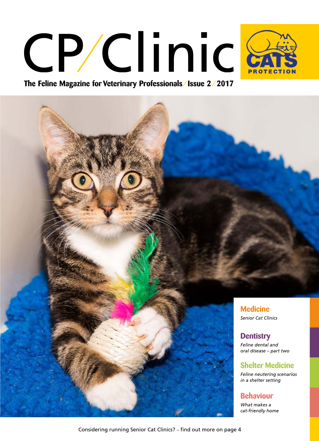The Feline Magazine for Veterinary Professionals / Issue 2 / 2017