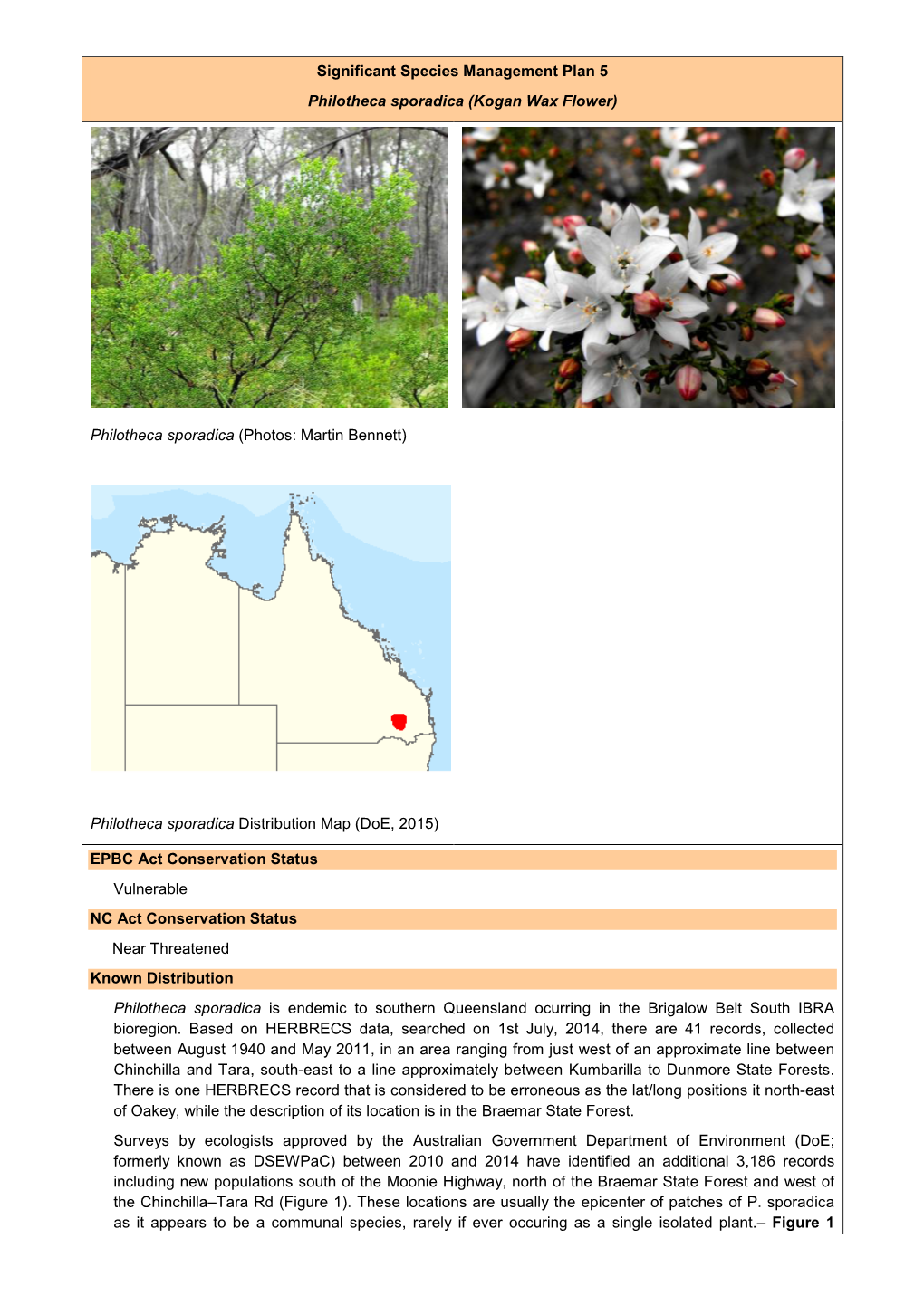 Significant Species Management Plan 5 Philotheca Sporadica (Kogan Wax Flower)