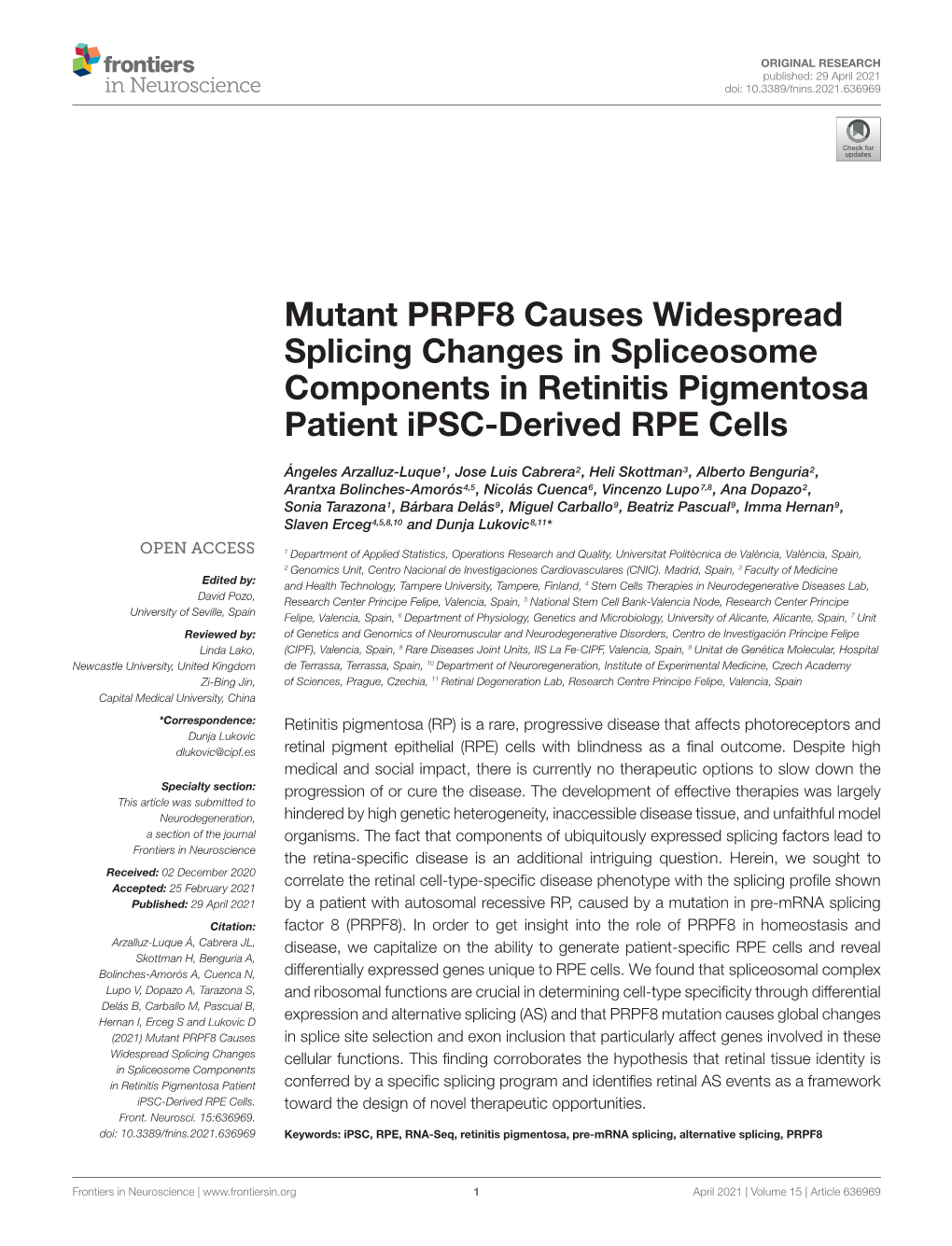 Mutant PRPF8 Causes Widespread Splicing Changes in Spliceosome Components in Retinitis Pigmentosa Patient Ipsc-Derived RPE Cells