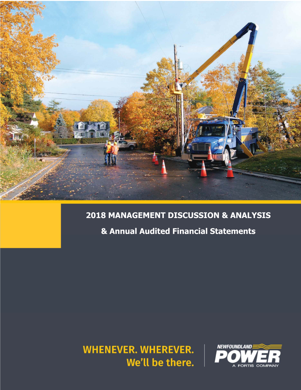 2018 MANAGEMENT DISCUSSION & ANALYSIS & Annual Audited