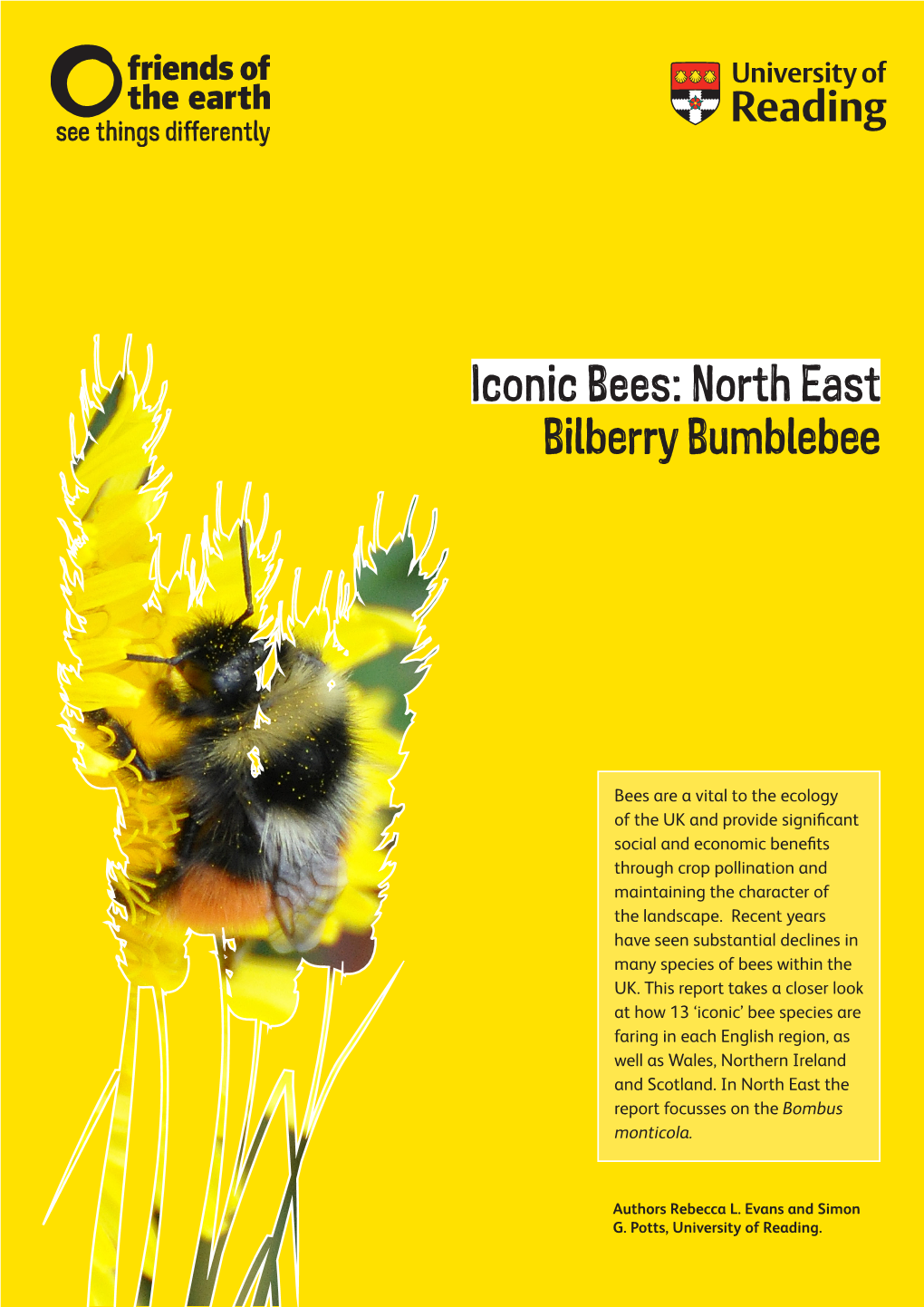 North East Bilberry Bumblebee