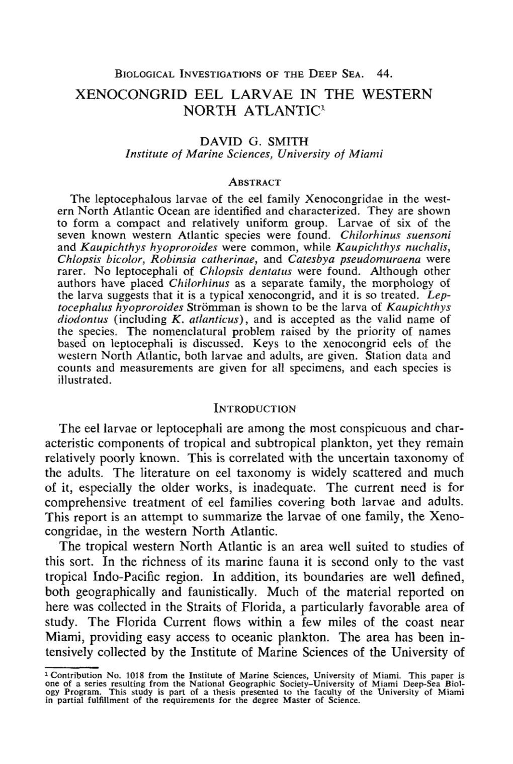 Xenocongrid Eel Larvae in the Western North Atlantic1