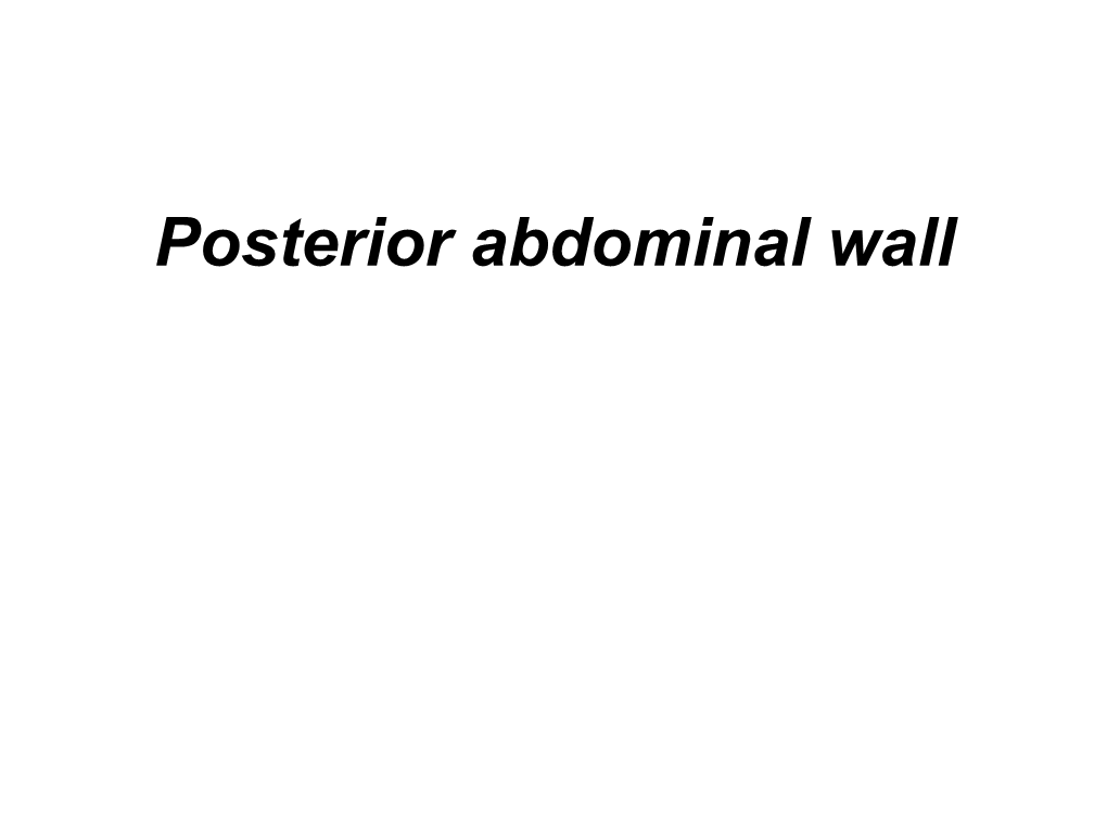 Posterior Abdominal Wall Posterior Abdominal Wall