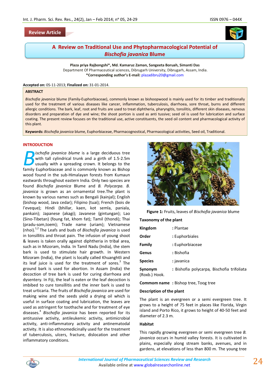 A Review on Traditional Use and Phytopharmacological Potential of Bischofia Javanica Blume