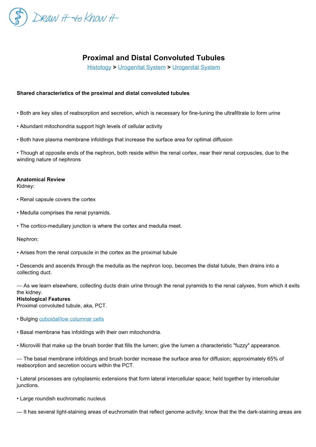 Proximal and Distal Convoluted Tubules Histology > Urogenital System > Urogenital System