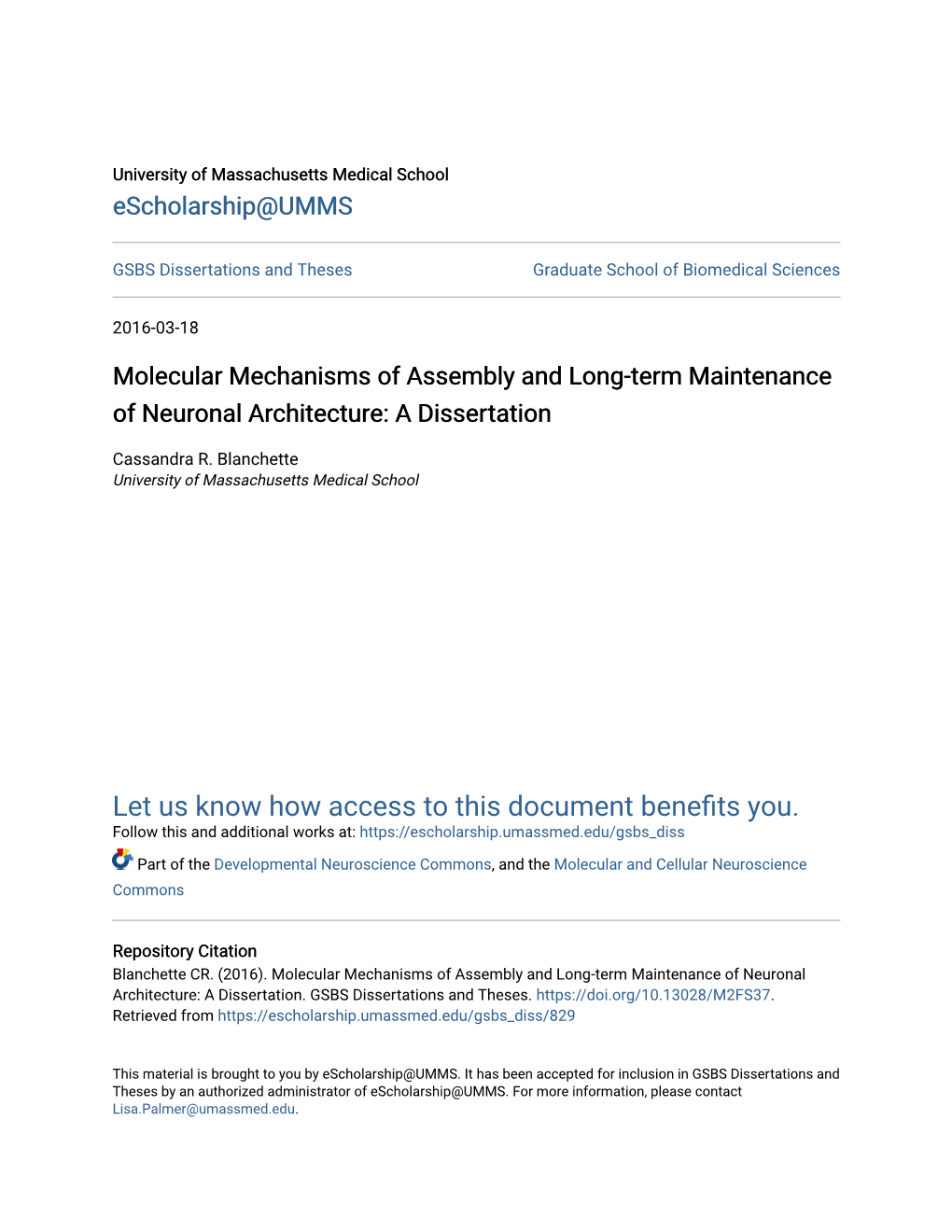 Molecular Mechanisms of Assembly and Long-Term Maintenance of Neuronal Architecture: a Dissertation