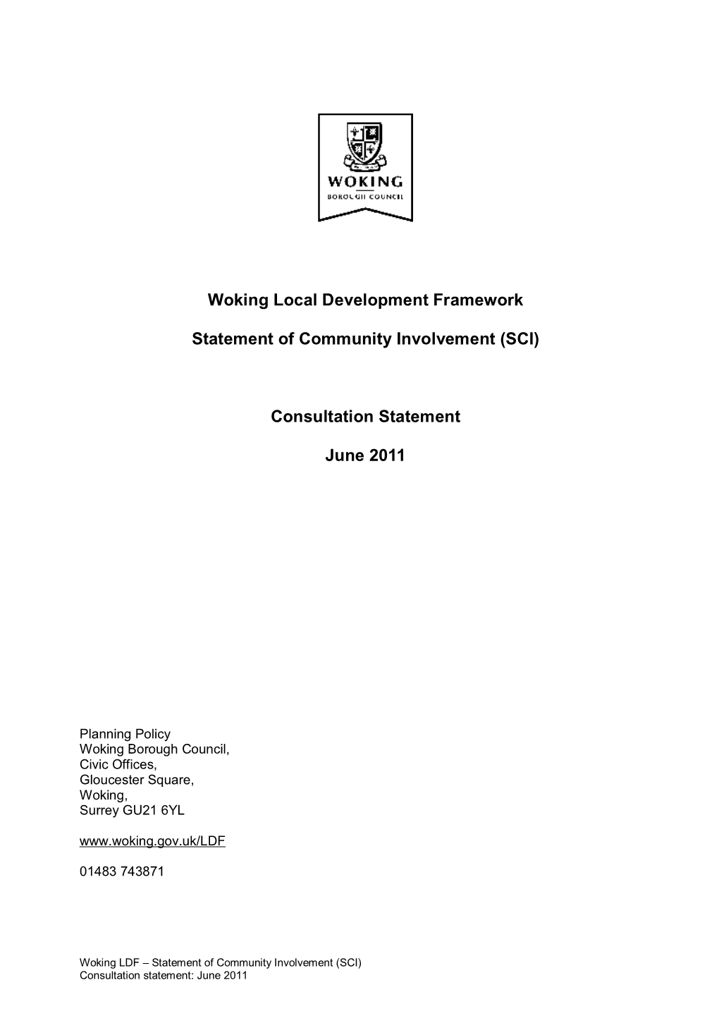 SCI Consultation Report 2011