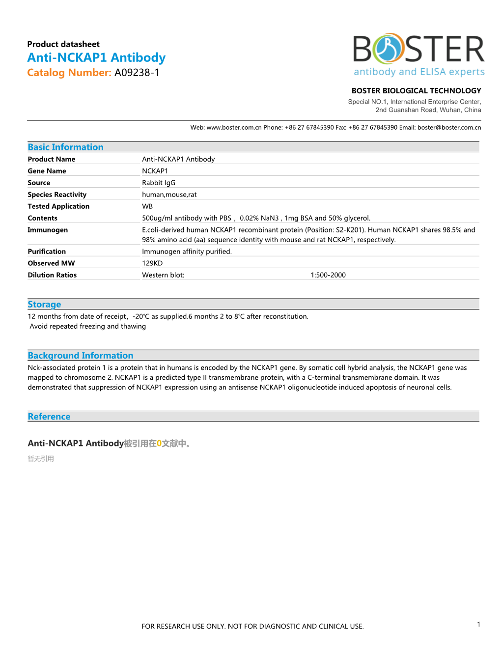Datasheet A09238-1 Anti-NCKAP1 Antibody