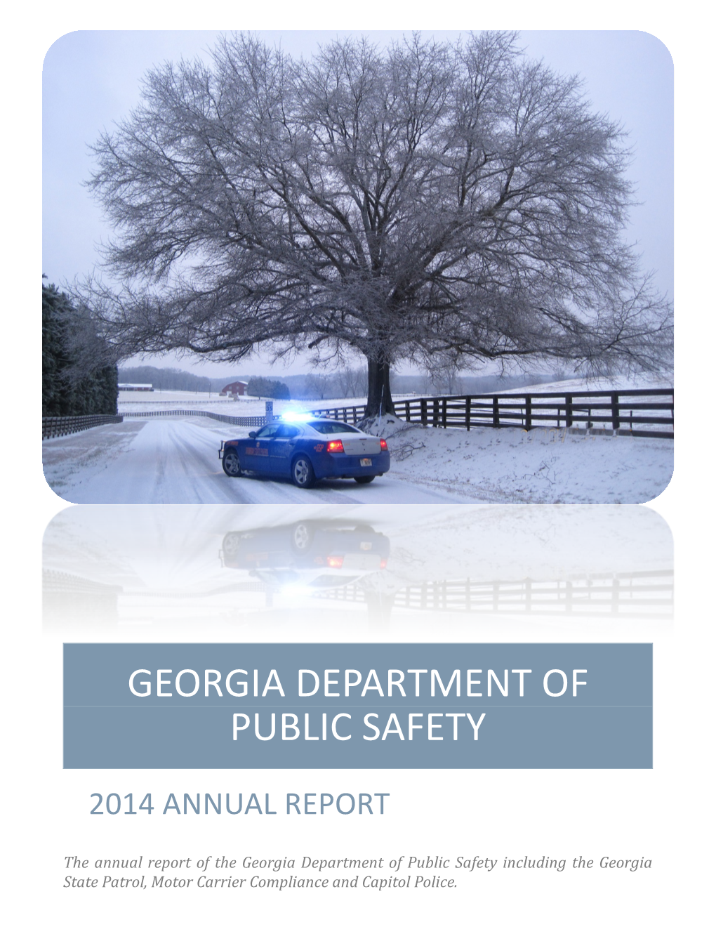 2014 Annual Report