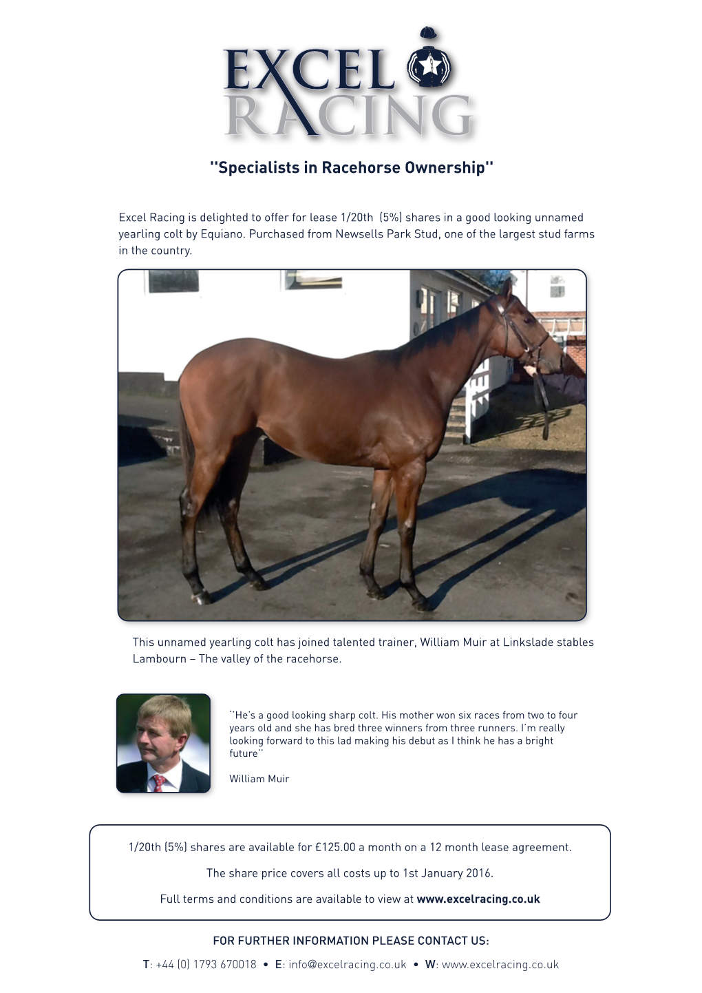 46152 Yearling Colt by Equiano Sales Sheet