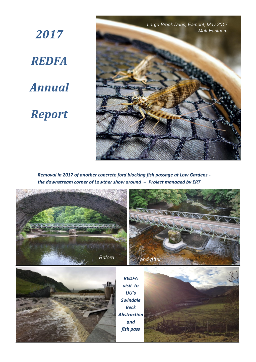 2017 REDFA Annual Report