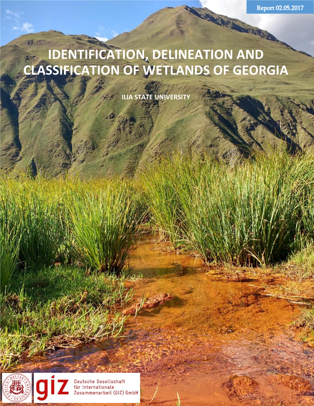 Identification, Delineation and Classification of Wetlands of Georgia