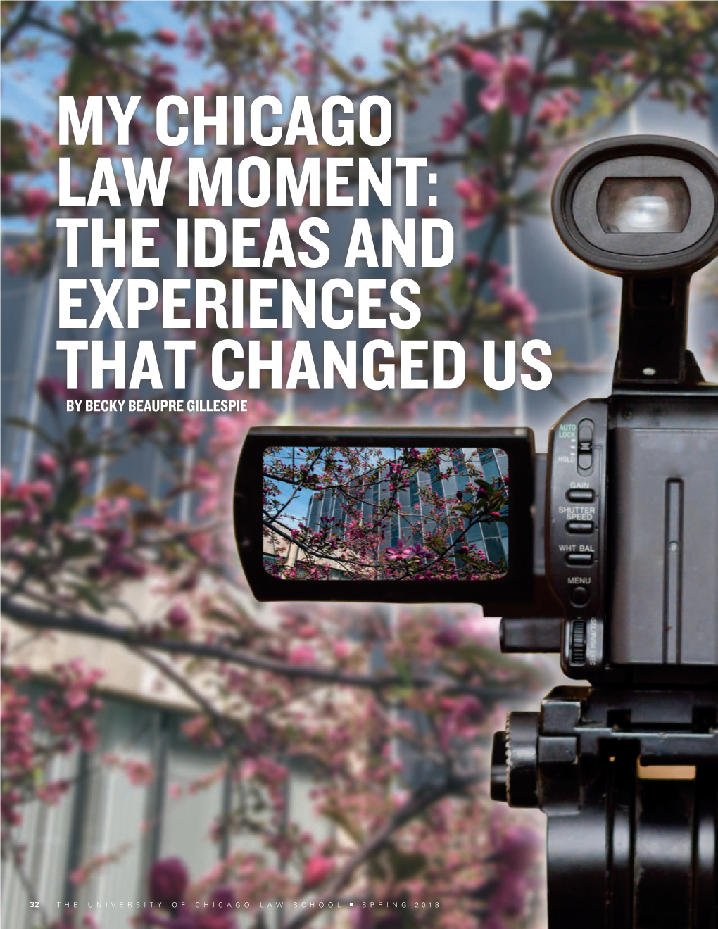 My Chicago Law Moment: the Ideas and Experiences That Changed Us by Becky Beaupre Gillespie