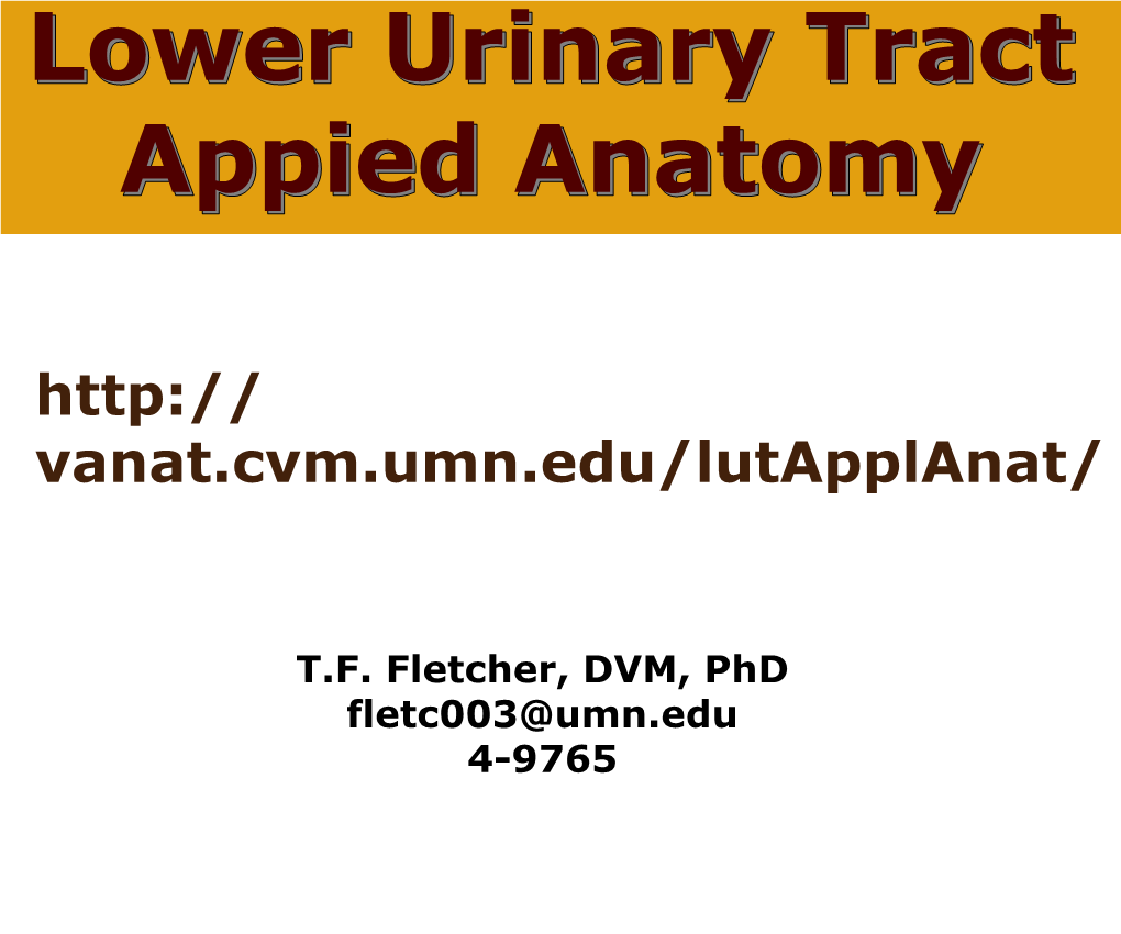 Lower Urinary Tract Appied Anatomy Lower Urinary Tract Appied Anatomy