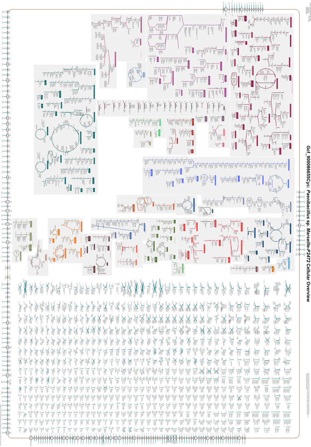 Generated by SRI International Pathway Tools Version 25.0, Authors S