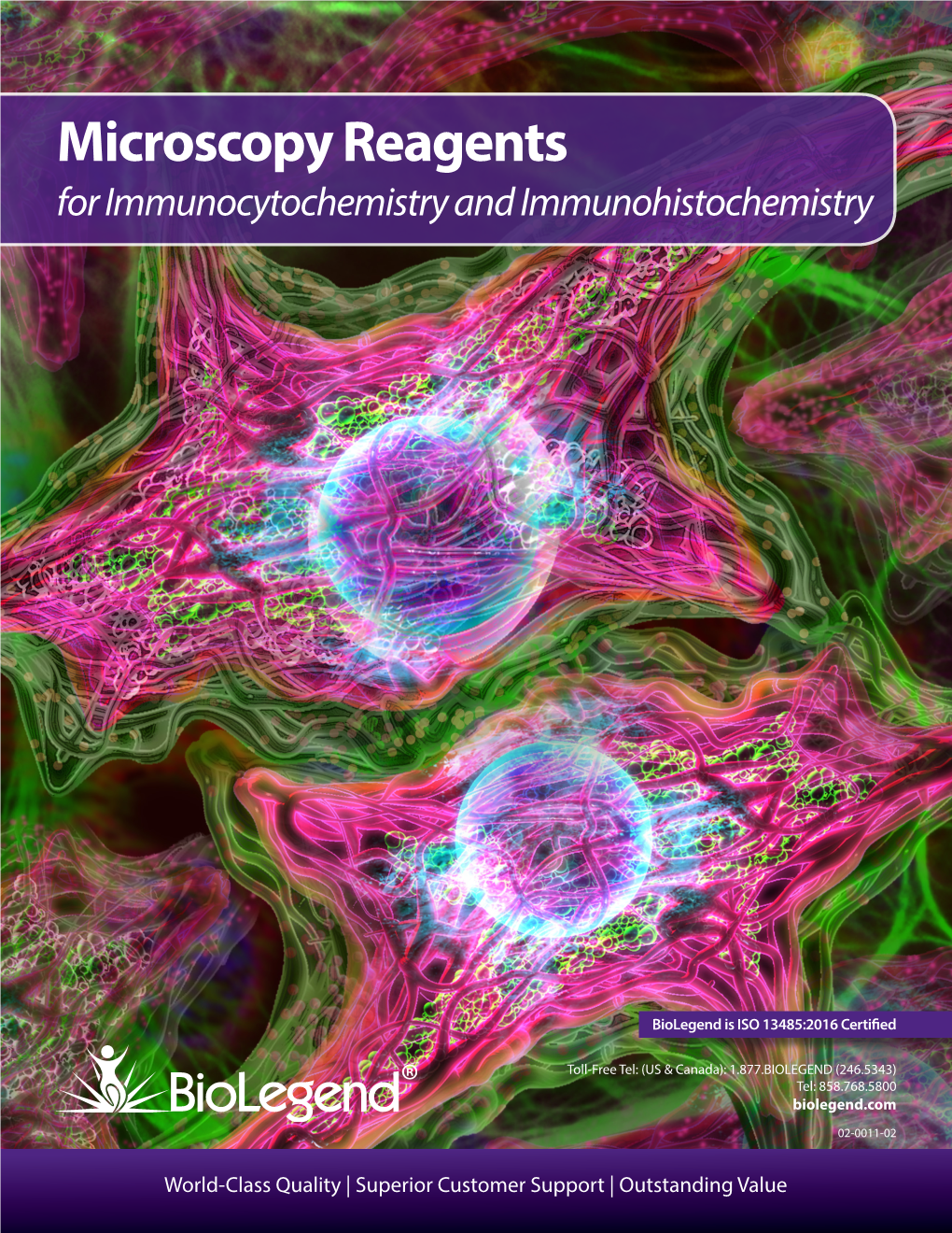 Microscopy Reagents for Immunocytochemistry and Immunohistochemistry