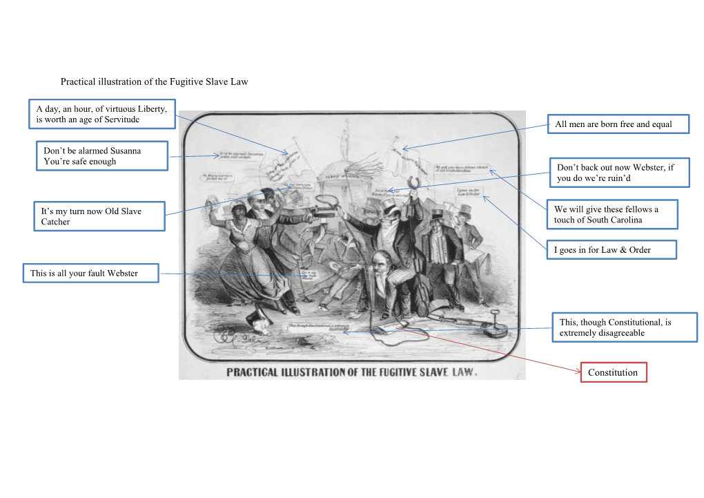 Practical Illustration of the Fugitive Slave Law Constitution