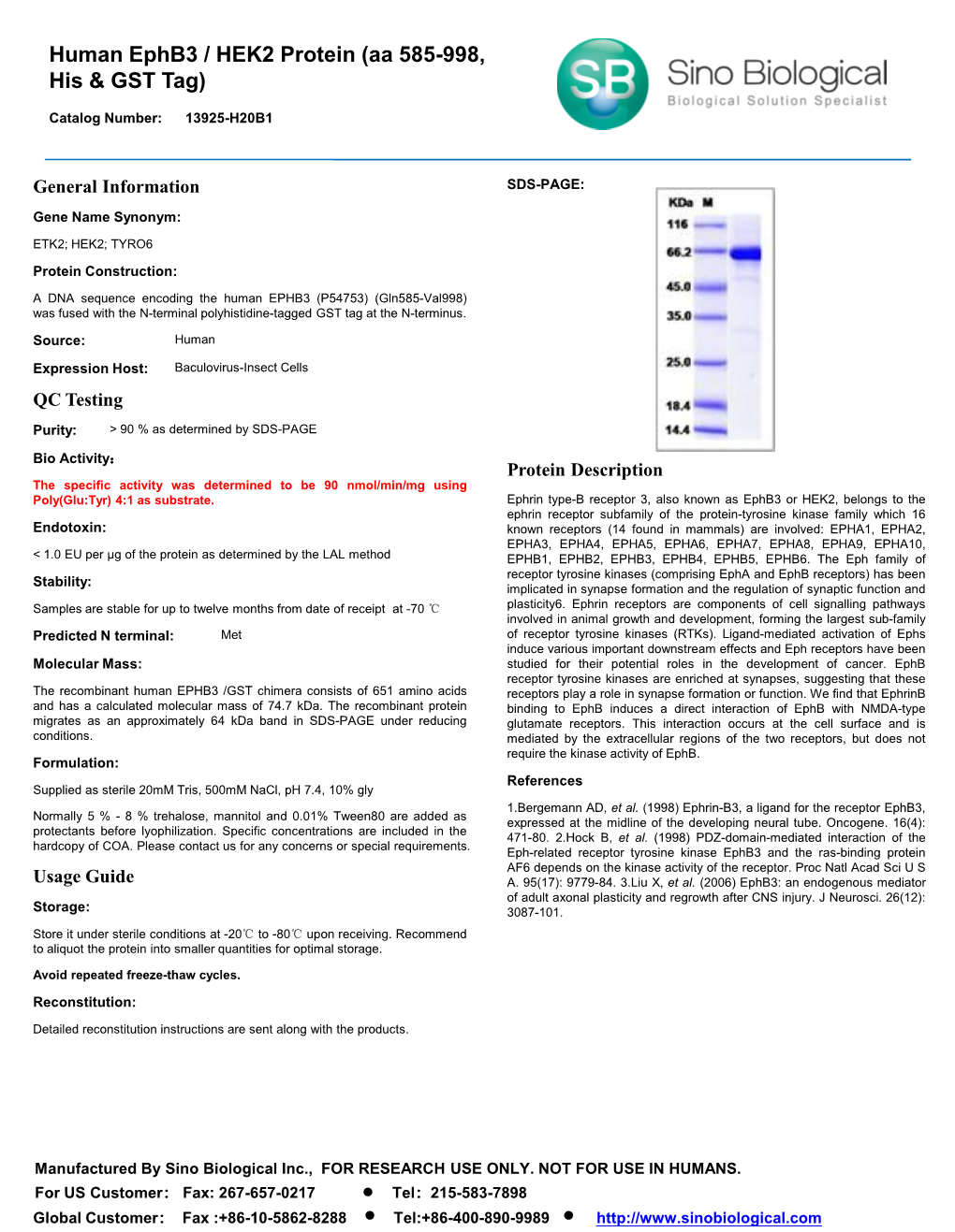 Human Ephb3 / HEK2 Protein (Aa 585-998, His & GST Tag)