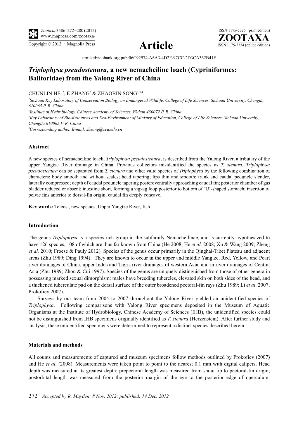 Triplophysa Pseudostenura, a New Nemacheiline Loach (Cypriniformes: Balitoridae) from the Yalong River of China