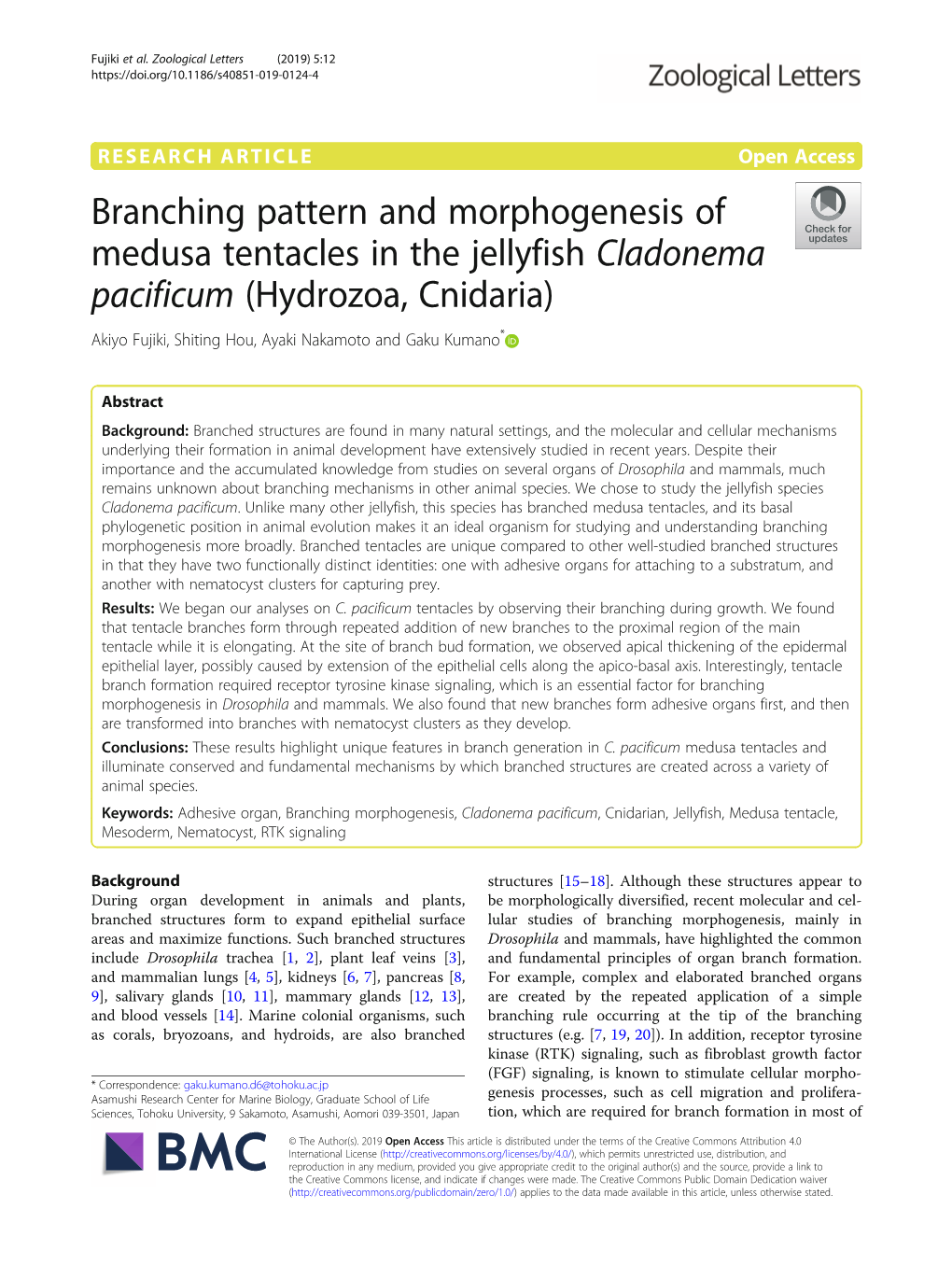 Branching Pattern and Morphogenesis of Medusa Tentacles in the Jellyfish
