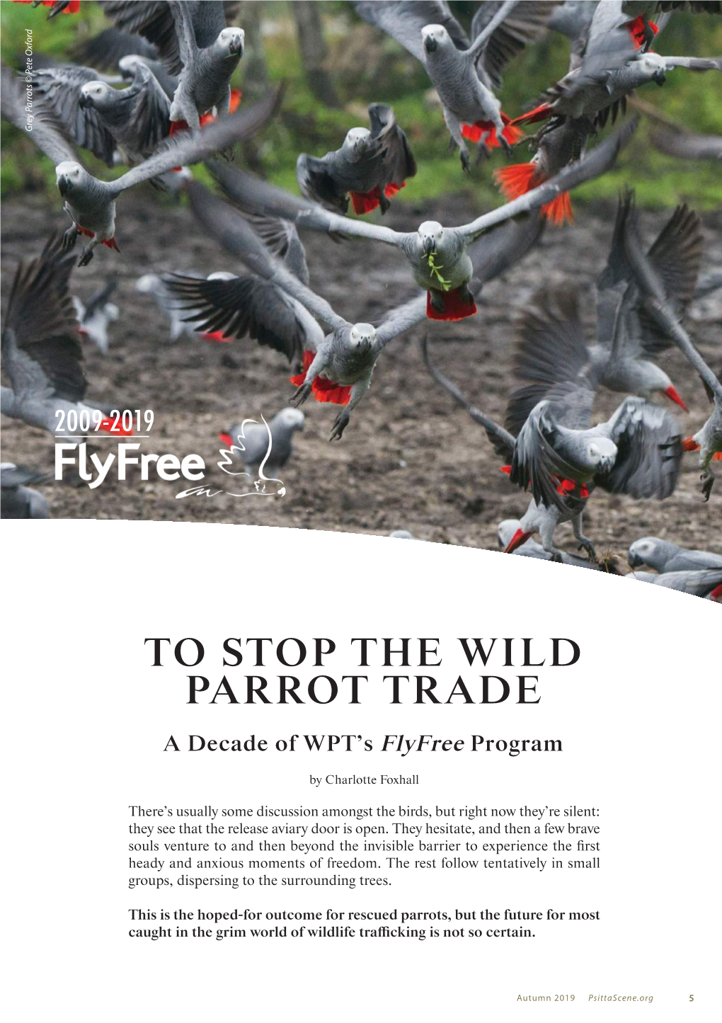 To Stop the Wild Parrot Trade