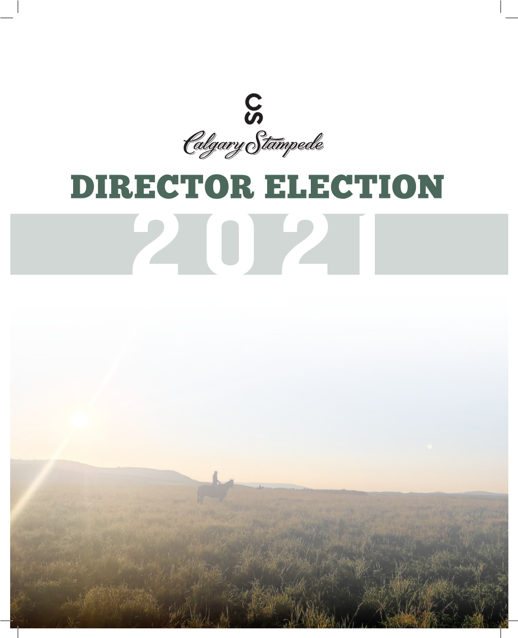 Director Election 2021 Table of Contents