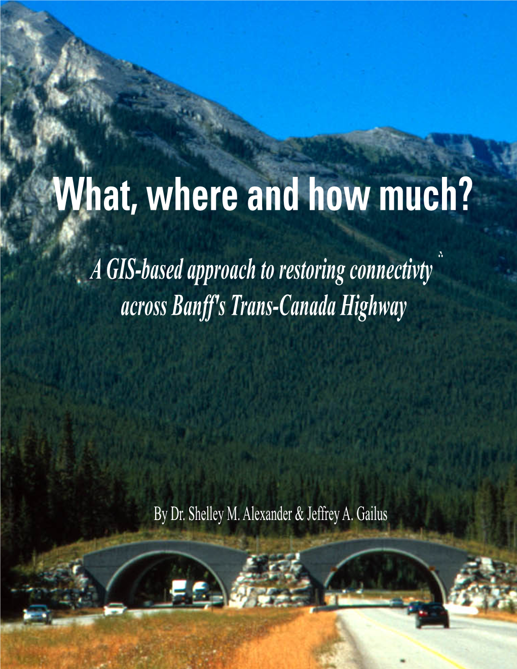 A GIS-Based Approach to Restoring Connectivty Across Banff's Trans-Canada Highway