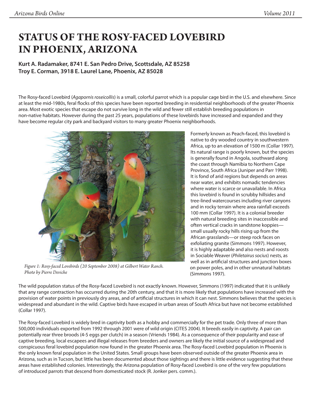 Status of the Rosy-Faced Lovebird in Phoenix, Arizona Kurt A