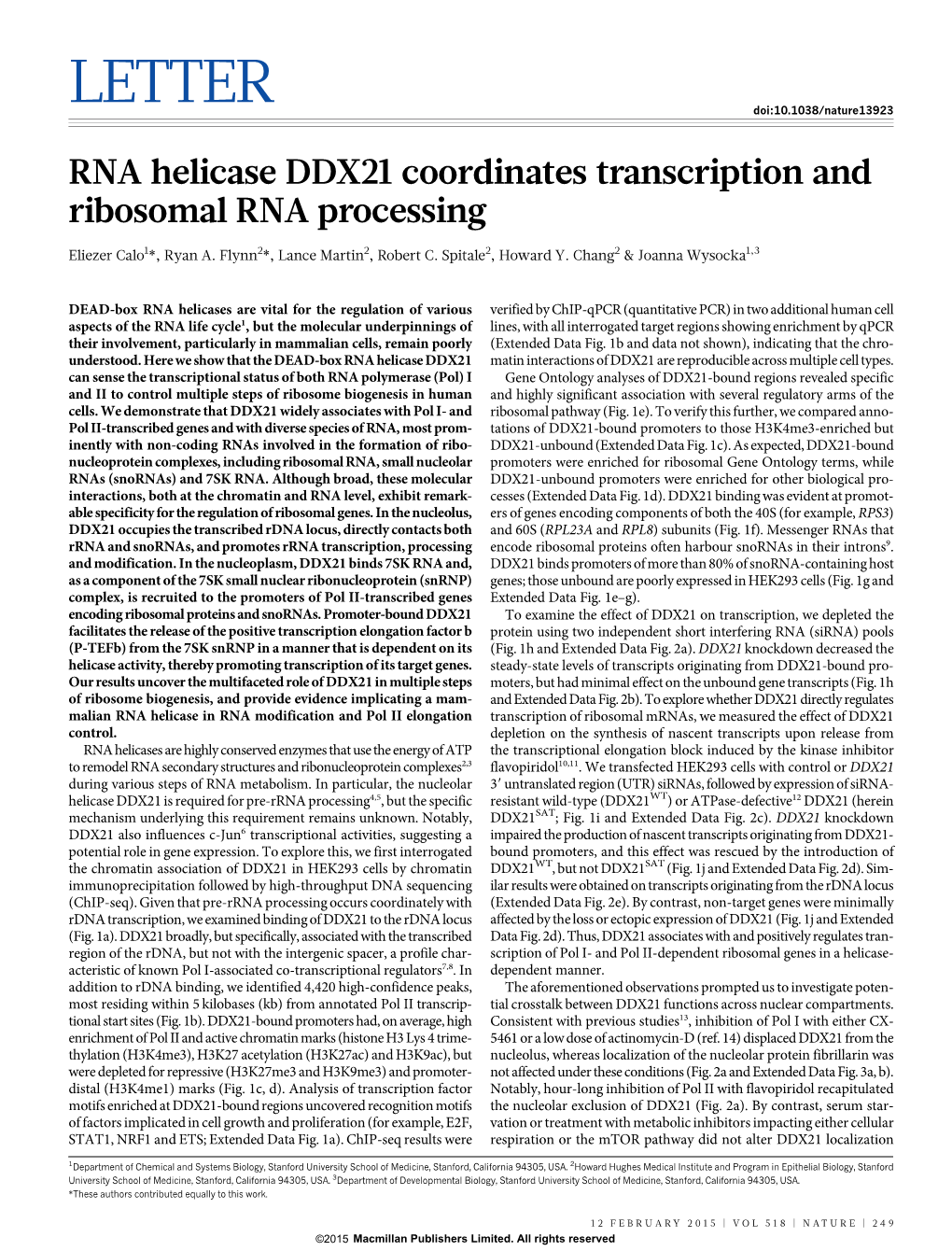 RNA Helicase DDX21 Coordinates Transcription and Ribosomal RNA Processing