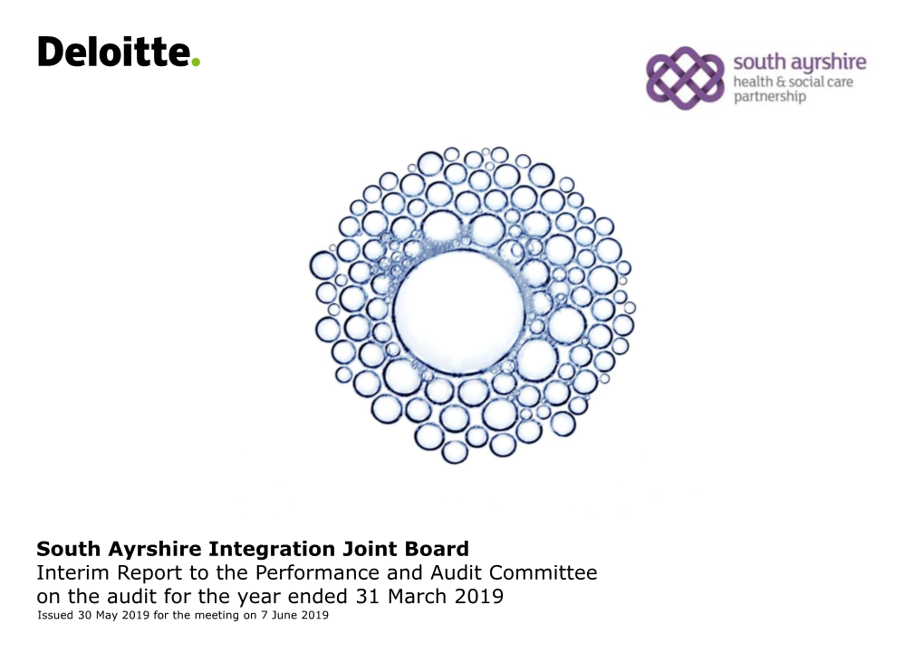 South Ayrshire Integration Joint Board Interim Audit Report 2018/19