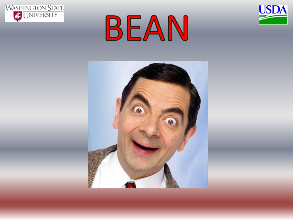 Bean Related Species