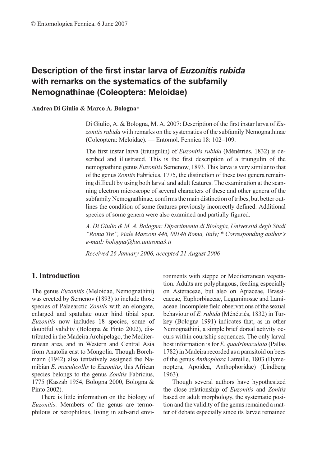 Description of the First Instar Larva of Euzonitis Rubida with Remarks on the Systematics of the Subfamily Nemognathinae (Coleoptera: Meloidae)