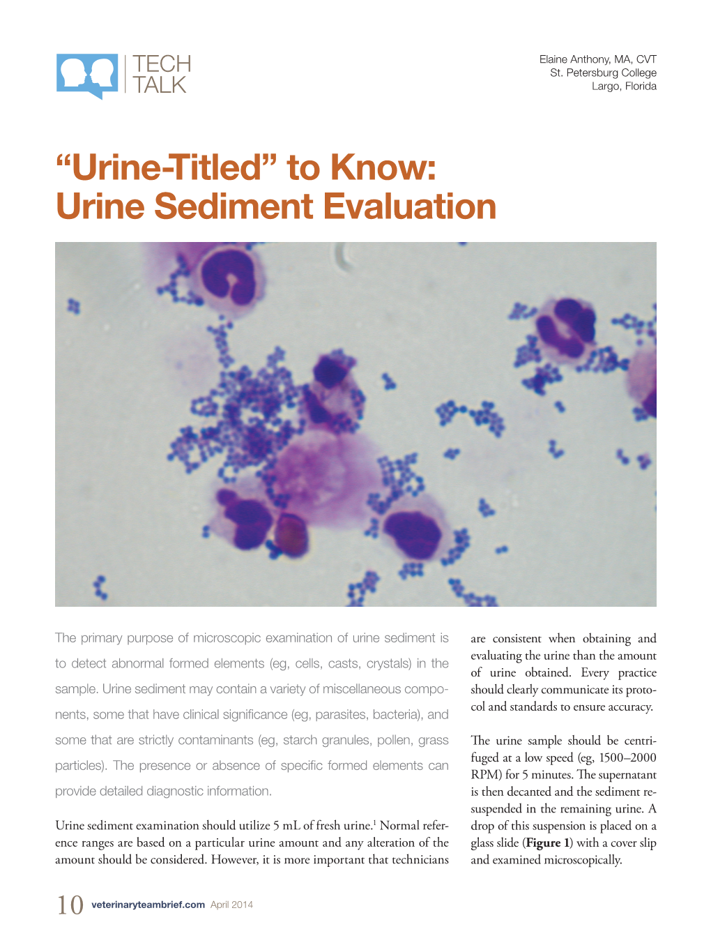 “Urine-Titled” to Know: Urine Sediment Evaluation