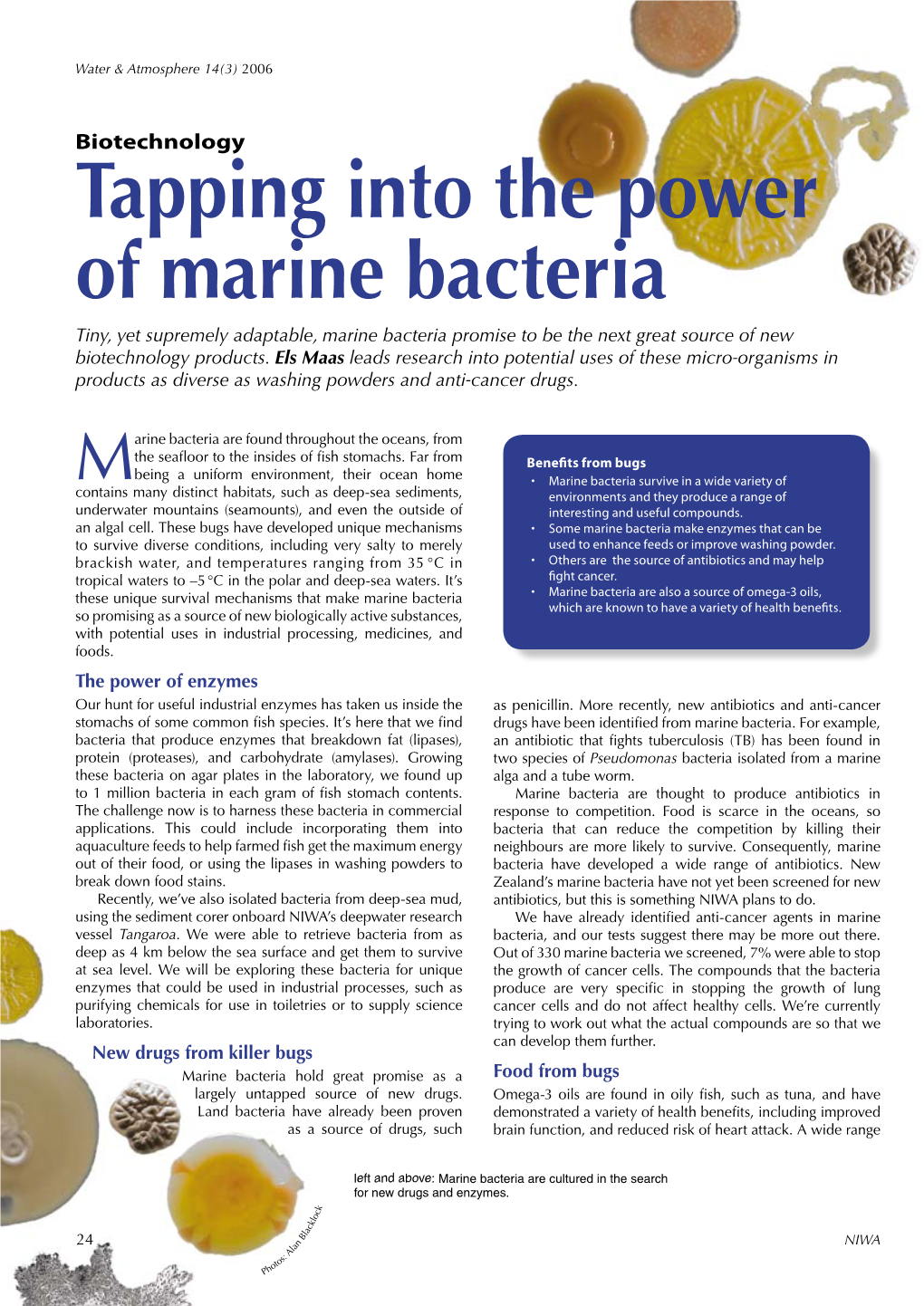 Tapping Into the Power of Marine Bacteria Tiny, Yet Supremely Adaptable, Marine Bacteria Promise to Be the Next Great Source of New Biotechnology Products