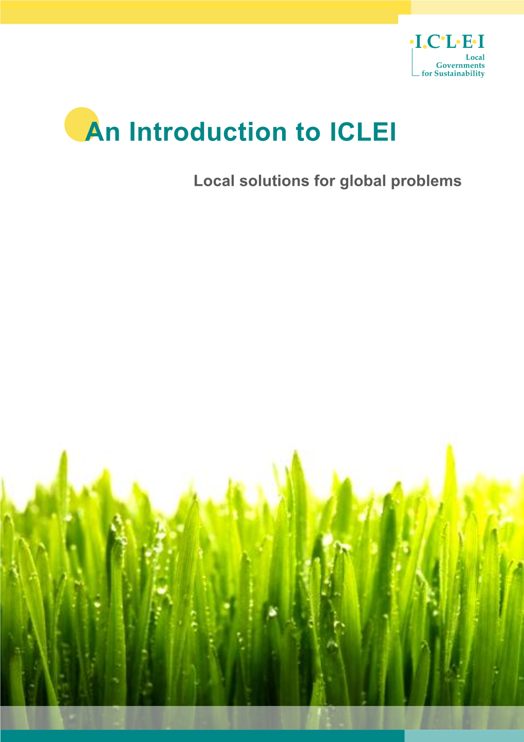 ICLEI Introduction + Member Application