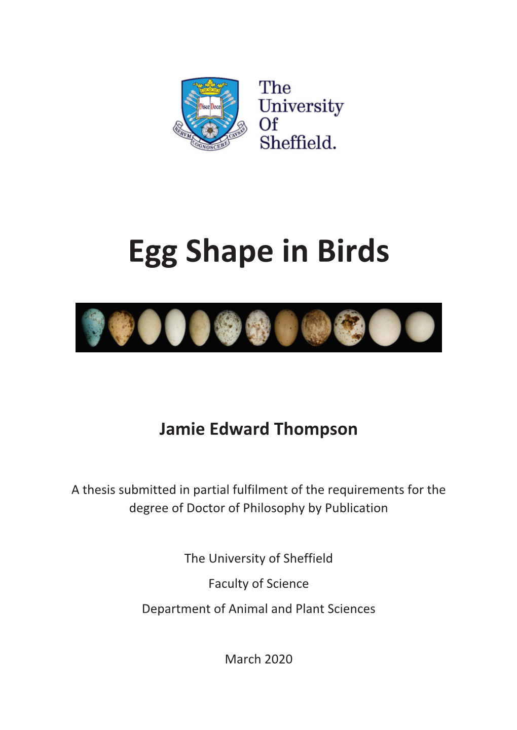 Egg Shape in Birds