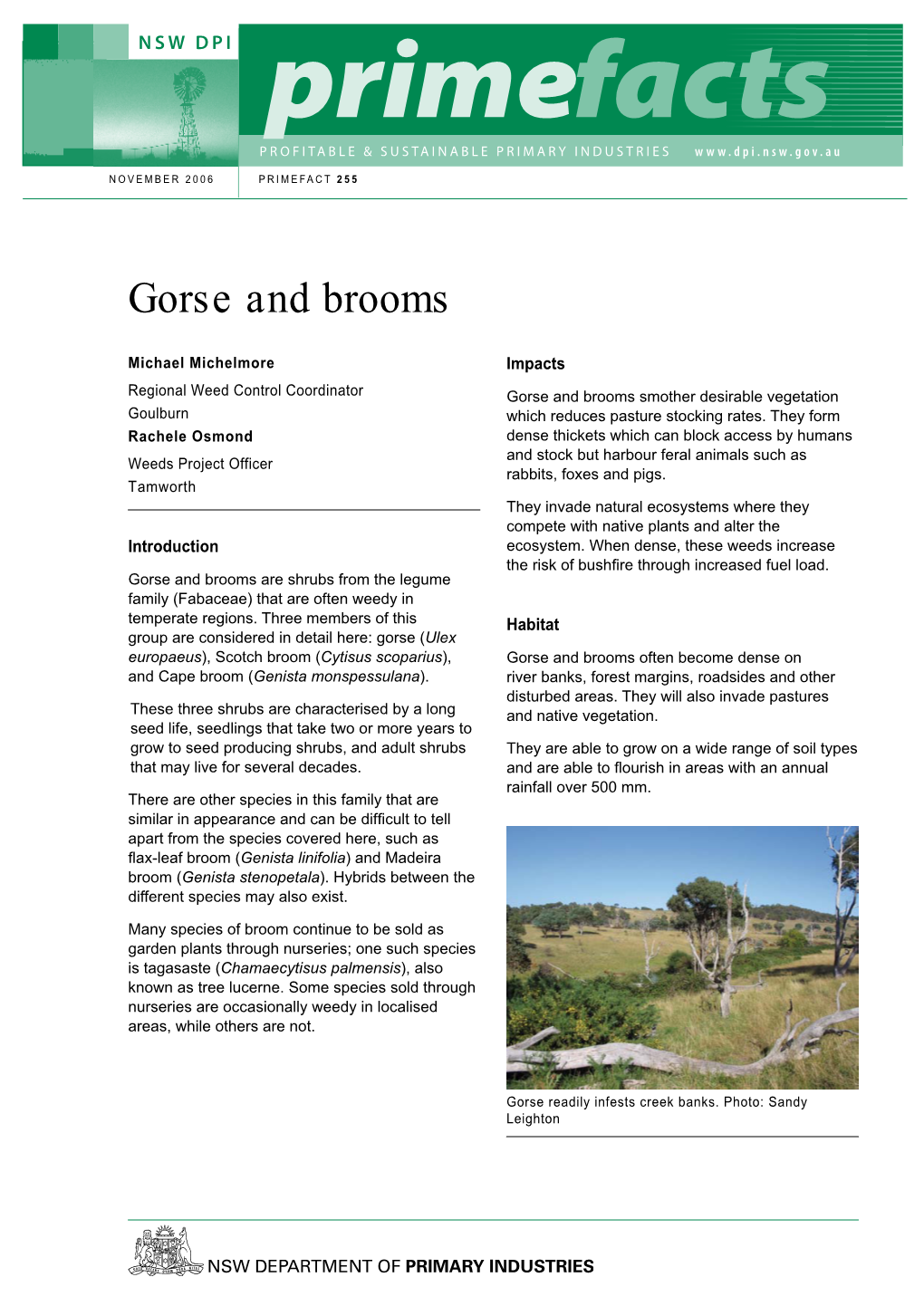 Gorse and Brooms