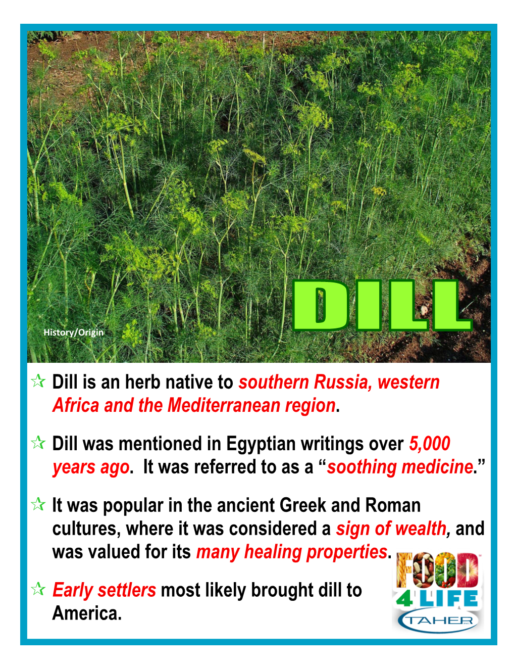 Dill Is an Herb Native to Southern Russia, Western Africa and the Mediterranean Region