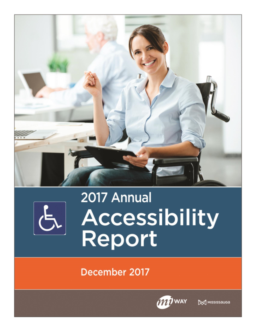 2017 Annual Accessibility Report