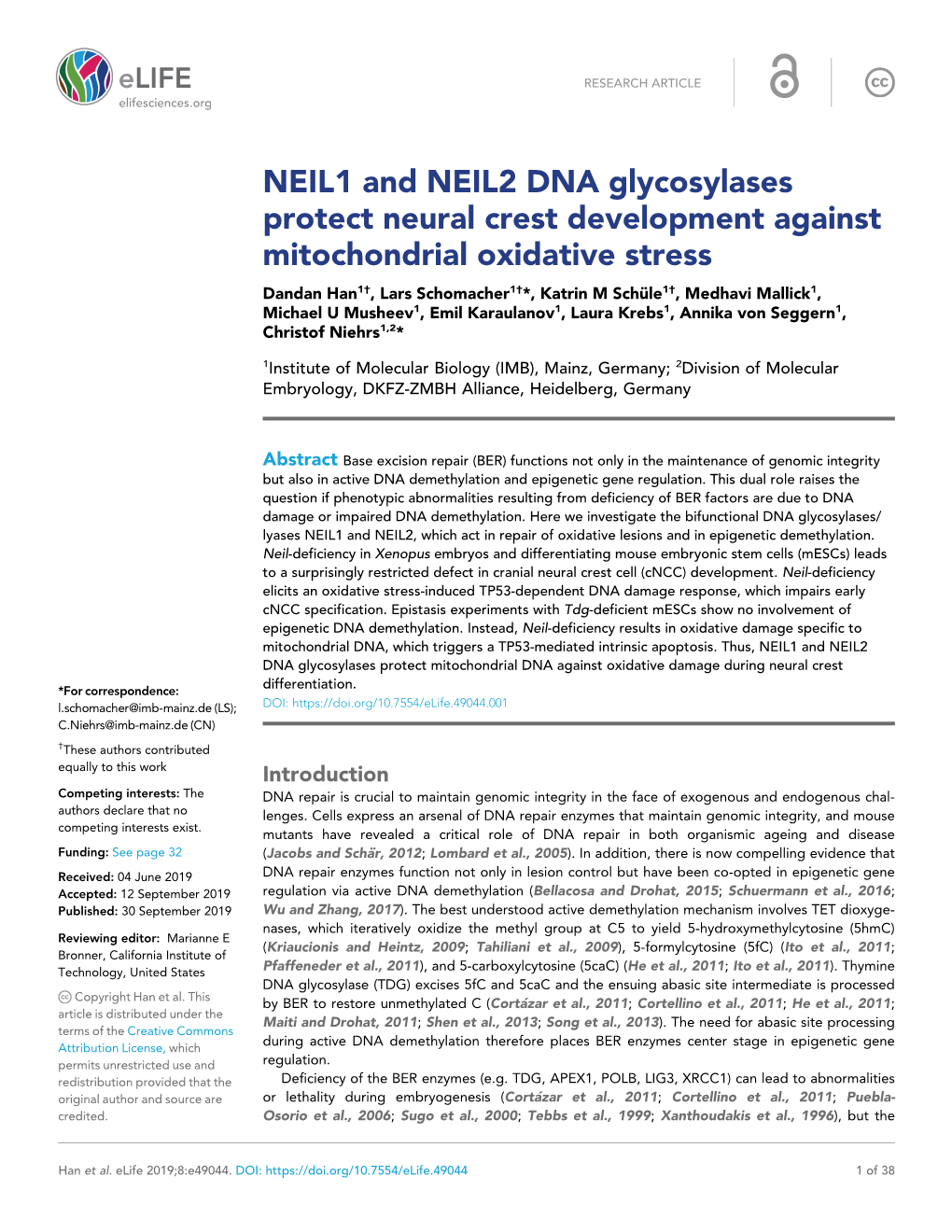 NEIL1 and NEIL2 DNA Glycosylases Protect Neural Crest Development