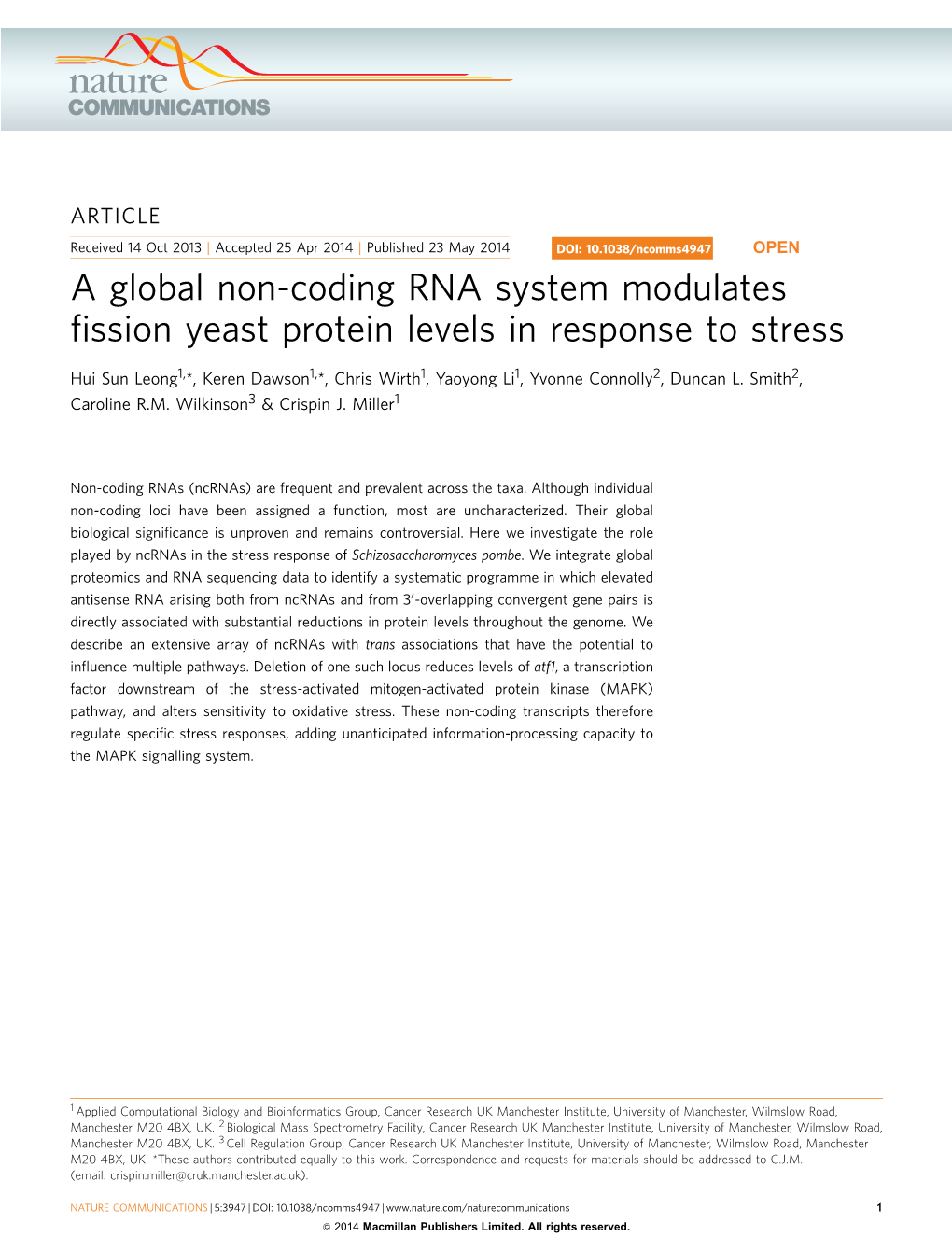 A Global Non-Coding RNA System Modulates Fission Yeast Protein