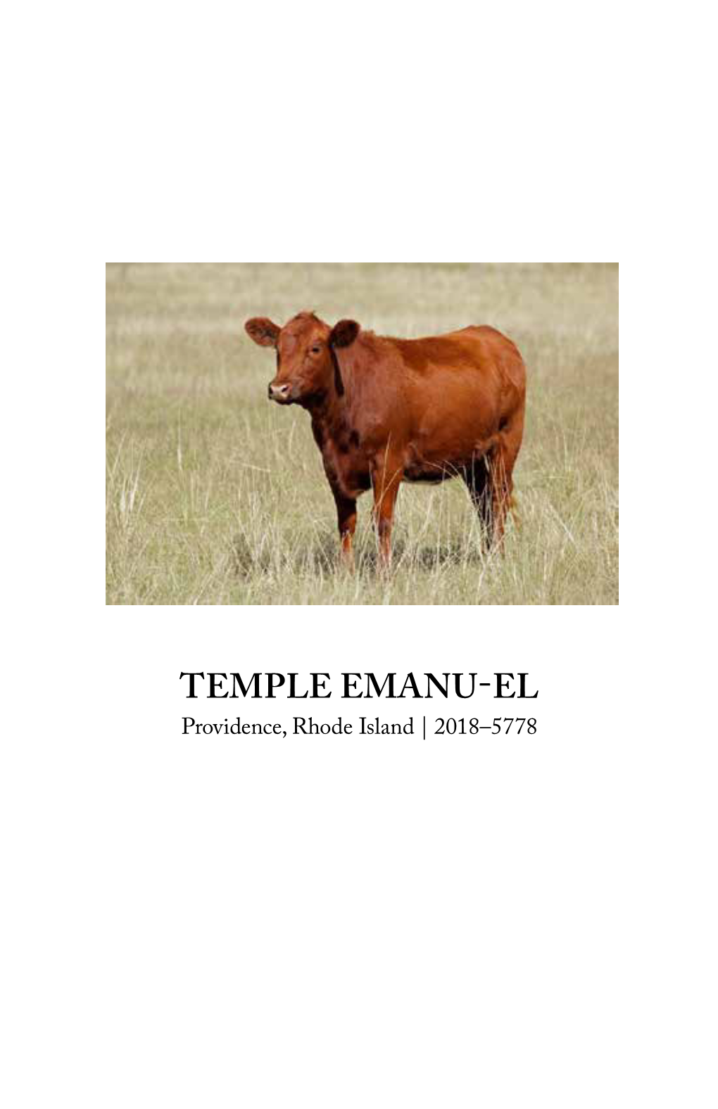 Temple Emanu-El Providence, Rhode Island | 2018–5778 Shabbat Parah Parashat Va-Yak·Hel-P’Kudei