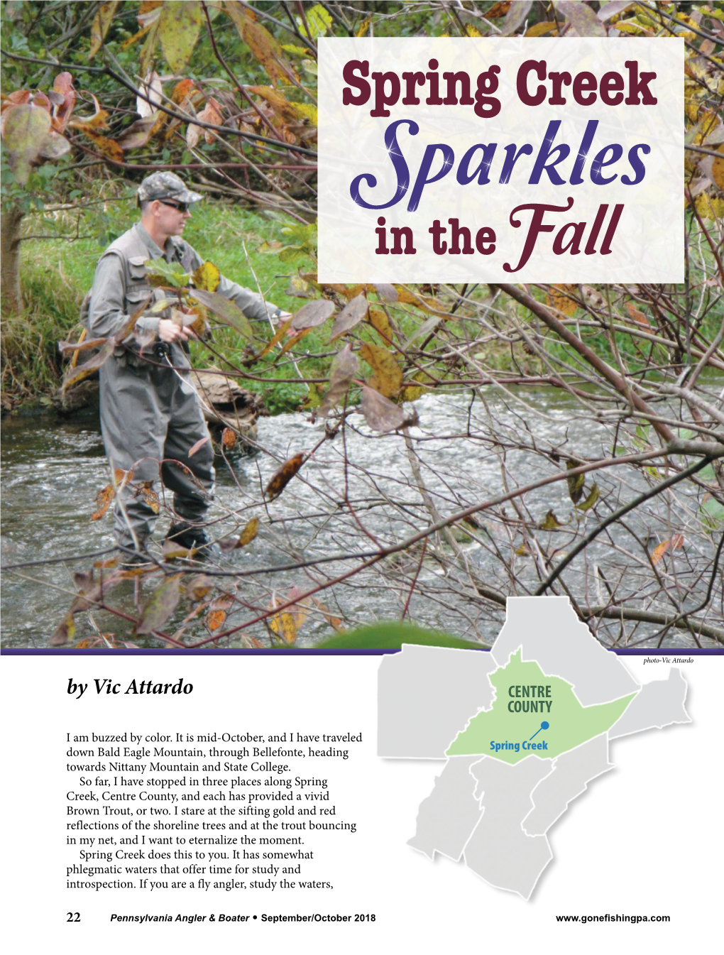 Spring Creek Sparkles in the Fall