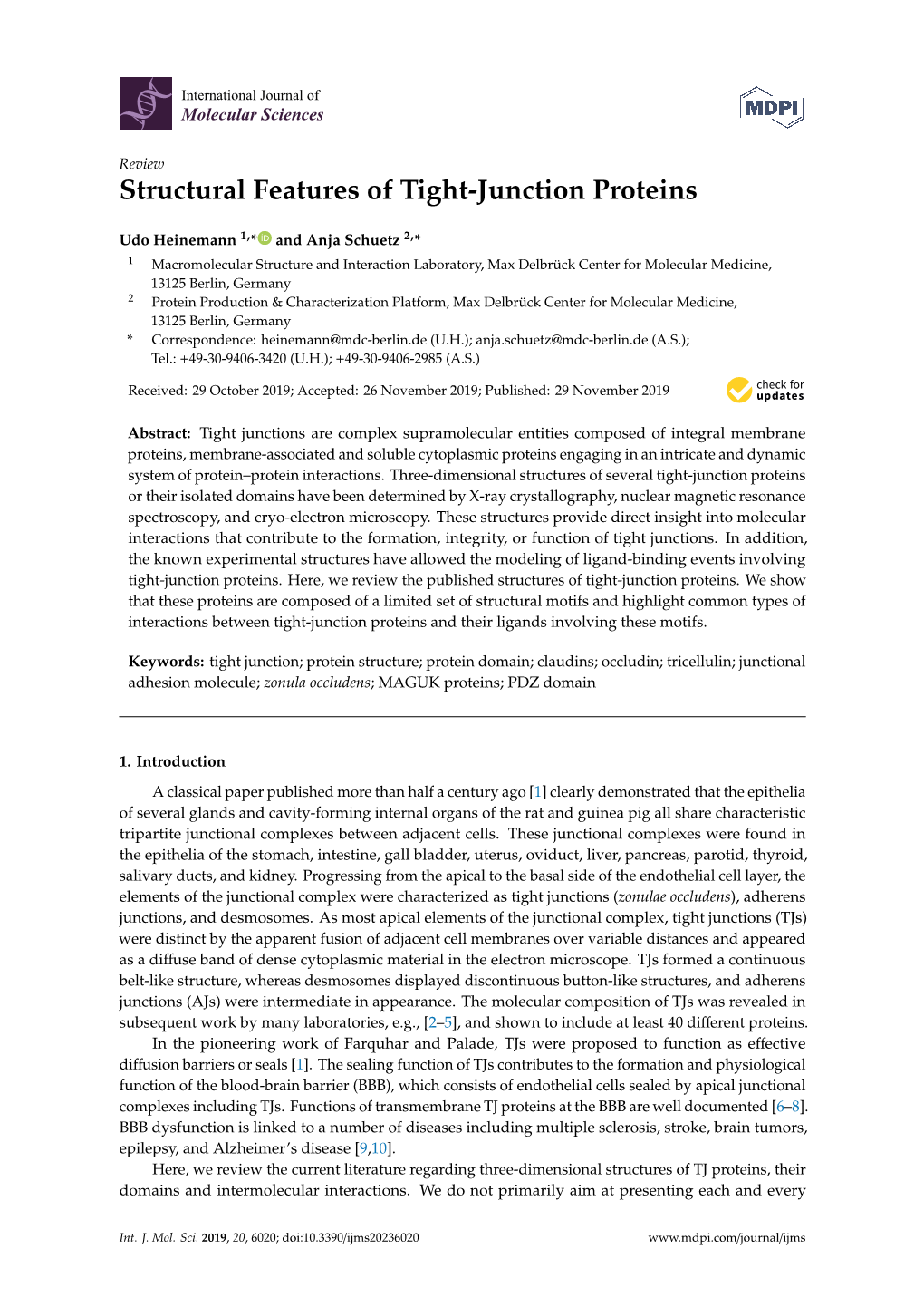 Structural Features of Tight-Junction Proteins