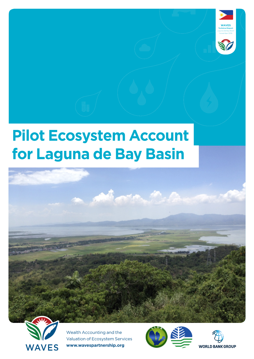 Pilot Ecosystem Account for Laguna De Bay Basin