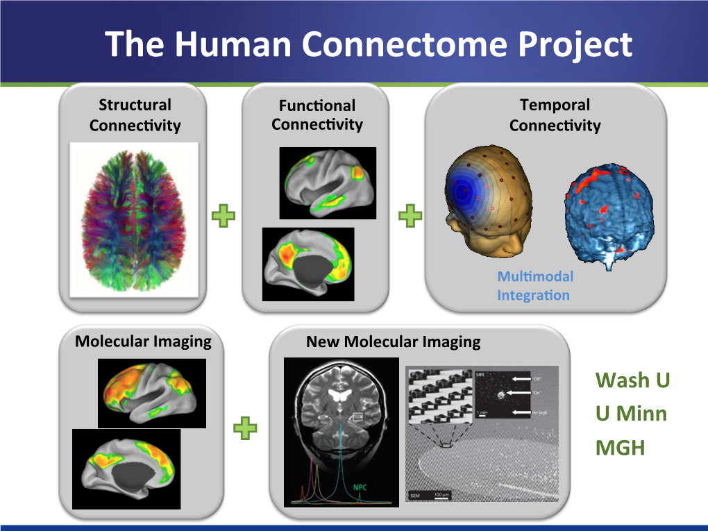The Human Connectome Project